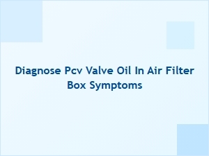 How to Diagnose Oil in the Air Filter Box