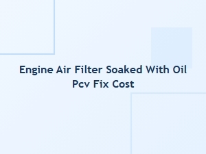Diagnosing Oil in Your Engine Air Filter and Pcv Fix Cost
