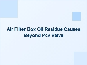 Causes of Oil in the Air Filter Box Beyond the Pcv Valve