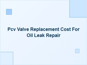 Estimating Pcv Valve Replacement and Oil Leak Repair Costs