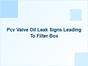 Identifying Pcv Valve Oil Leaks That Reach the Filter Box