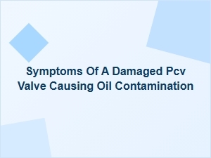 Identifying Pcv Valve Damage and Oil Contamination